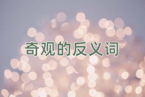 奇观的反义词