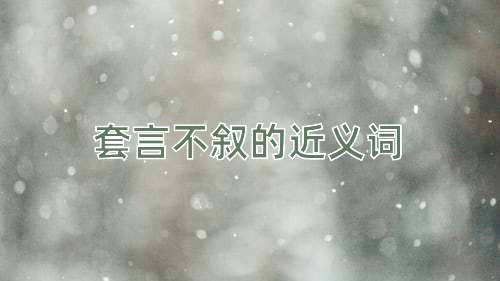 套言不叙的近义词