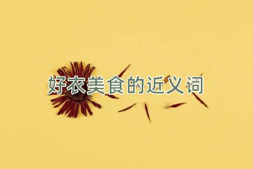 好衣美食的近义词