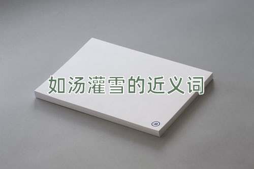 如汤灌雪的近义词