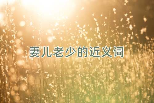 妻儿老少的近义词