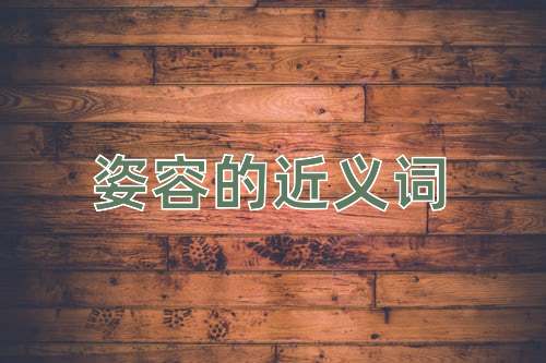 姿容的近义词