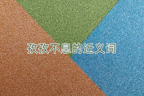 孜孜不息的近义词