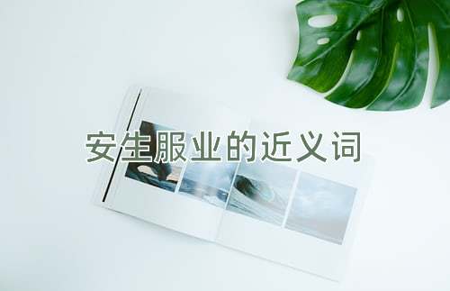 安生服业的近义词