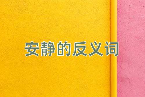 安静的反义词