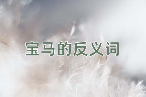 宝马的反义词