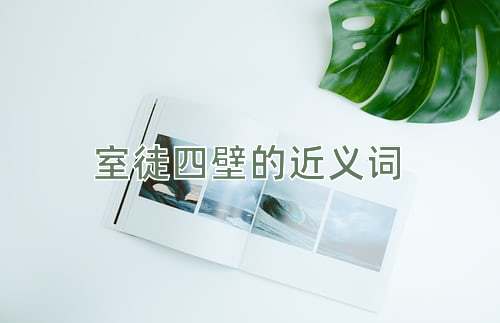 室徒四壁的近义词