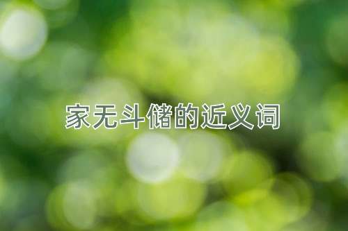 家无斗储的近义词