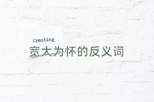 宽大为怀的反义词
