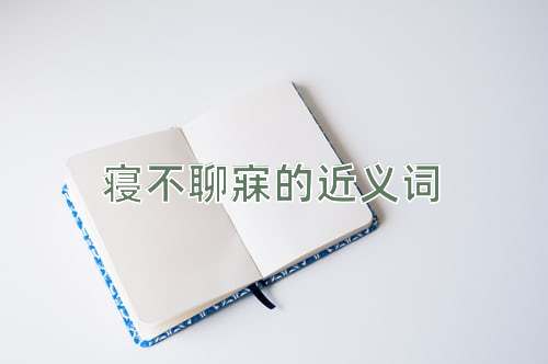 寝不聊寐的近义词