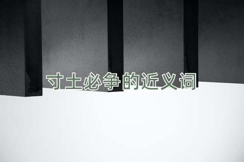 寸土必争的近义词