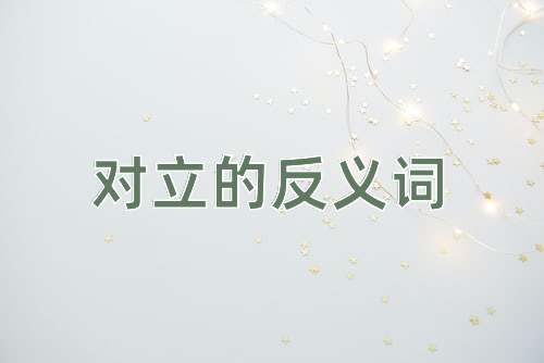 对立的反义词