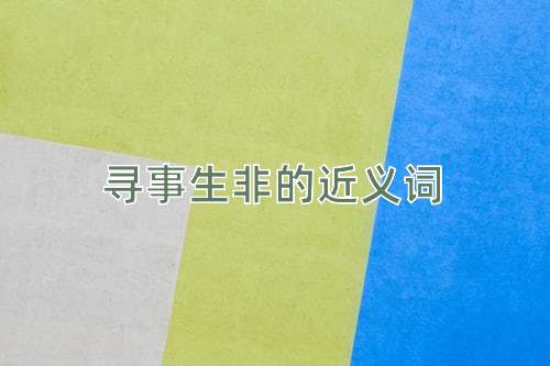 寻事生非的近义词