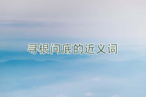 寻根问底的近义词