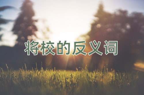将校的反义词