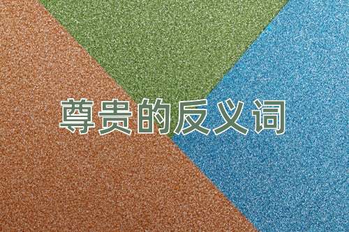 尊贵的反义词