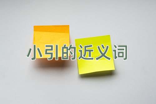 小引的近义词