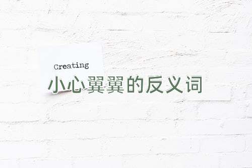 小心翼翼的反义词