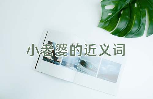 小老婆的近义词