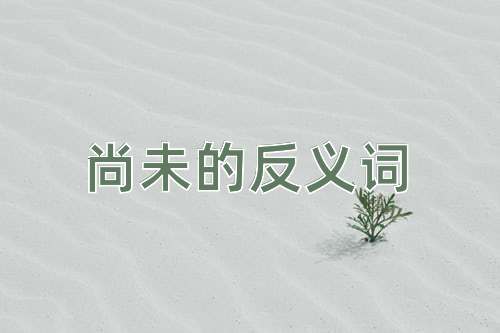 尚未的反义词