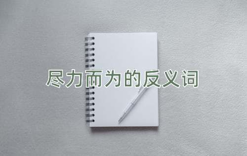 尽力而为的反义词