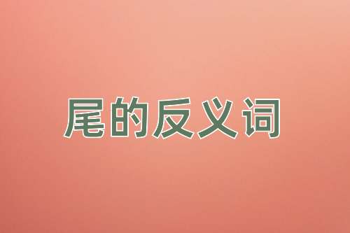 尾的反义词