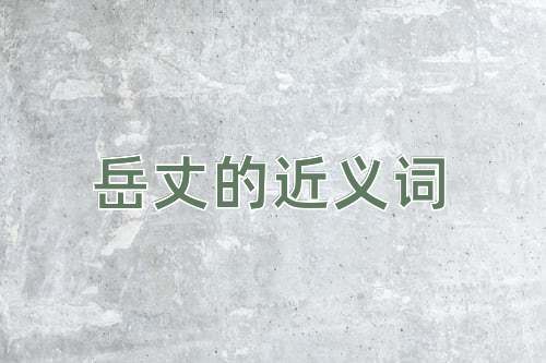 岳丈的近义词