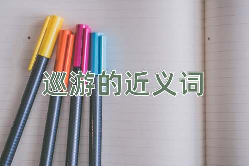 巡游的近义词