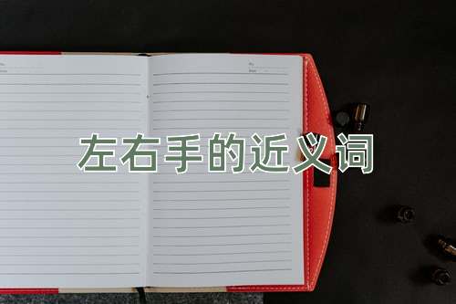 左右手的近义词