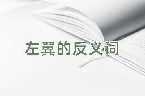 左翼的反义词