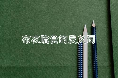 布衣疏食的反义词