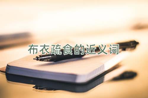 布衣疏食的近义词