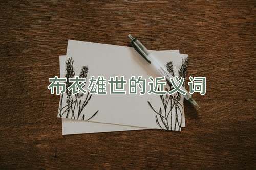 布衣雄世的近义词