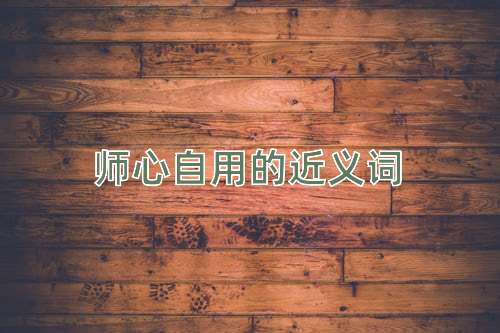 师心自用的近义词