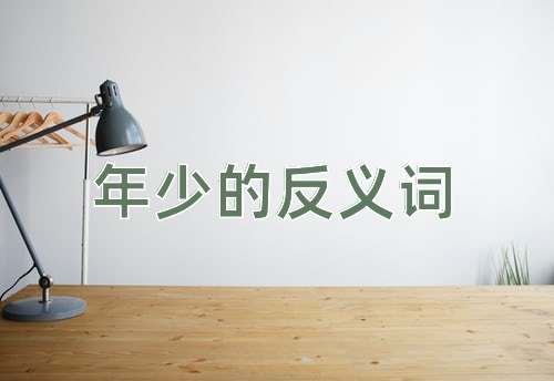 年少的反义词