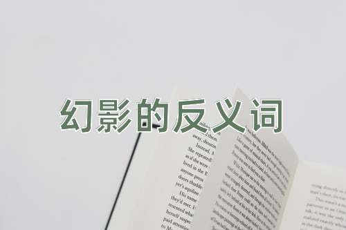幻影的反义词