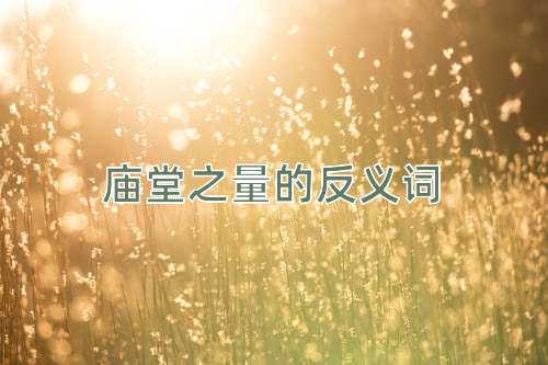 庙堂之量的反义词
