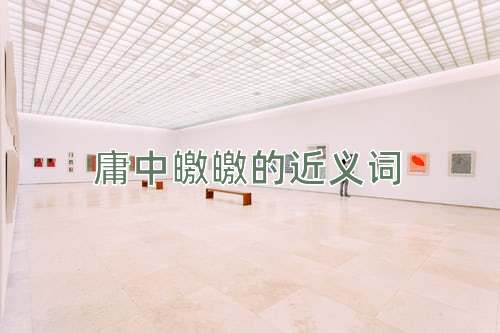 庸中皦皦的近义词