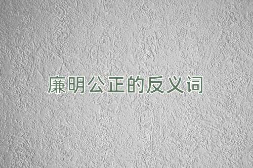 廉明公正的反义词