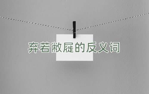 弃若敝屣的反义词