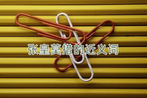 张皇莫措的近义词