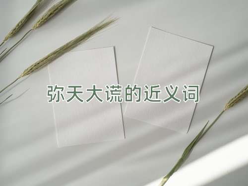 弥天大谎的近义词