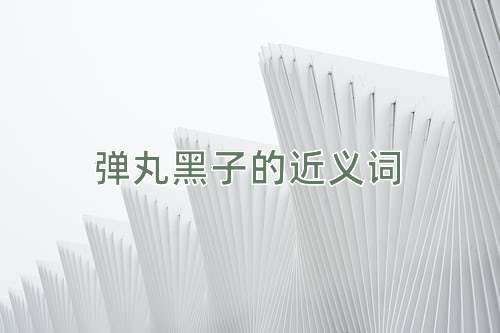 弹丸黑子的近义词