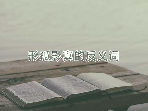 形孤影寡的反义词