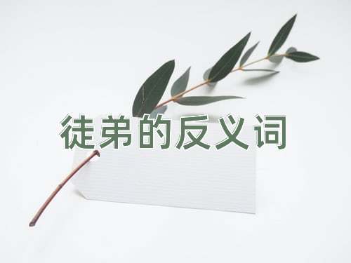 徒弟的反义词