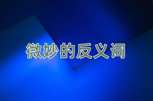 微妙的反义词