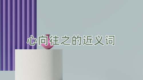 心向往之的近义词