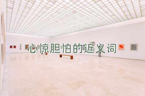 心惊胆怕的近义词