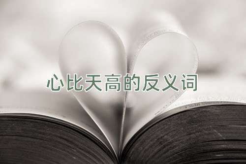 心比天高的反义词