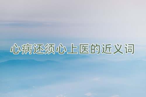 心病还须心上医的近义词